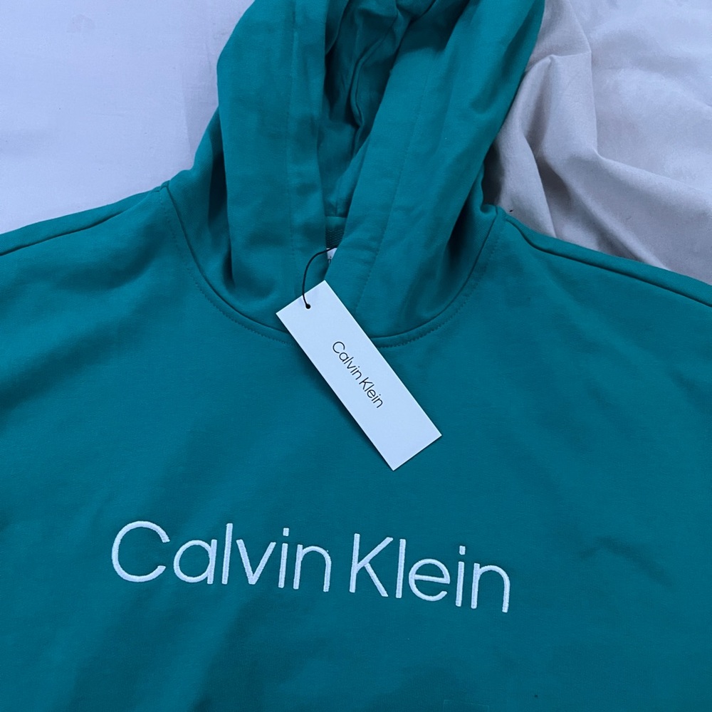 Deep Lake Relaxed Fir Standard Logo Hoodie Turquoise